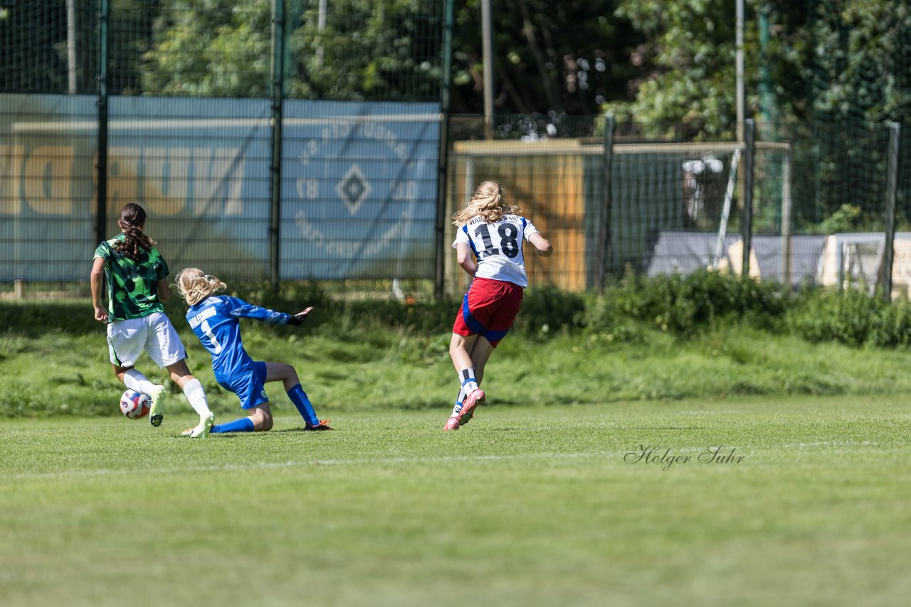 Bild 380 - wBJ Hamburger SV - VfL Wolfsburg : Ergebnis: 5:1